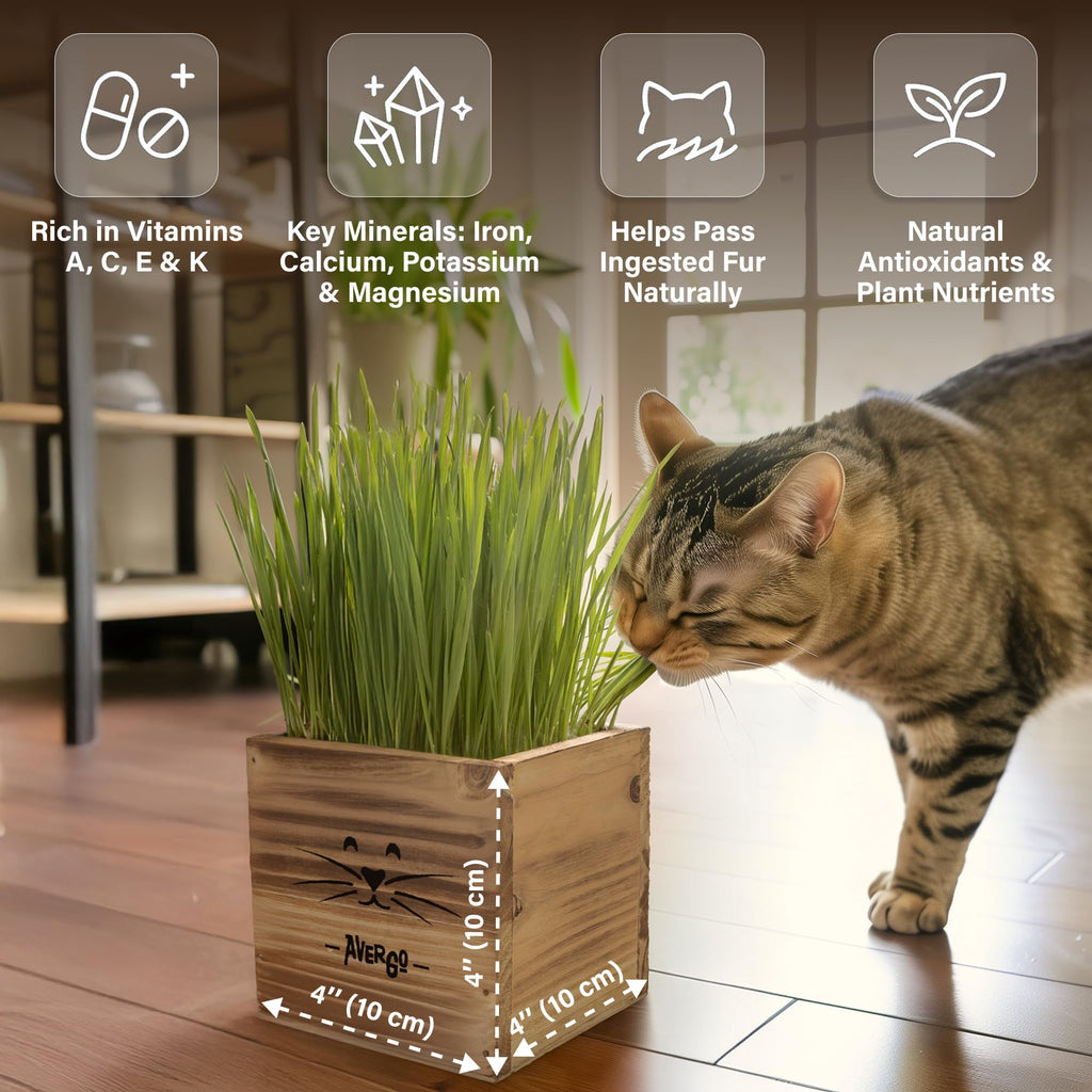 Cat Grass Kit with 2 Seed Packets W547140