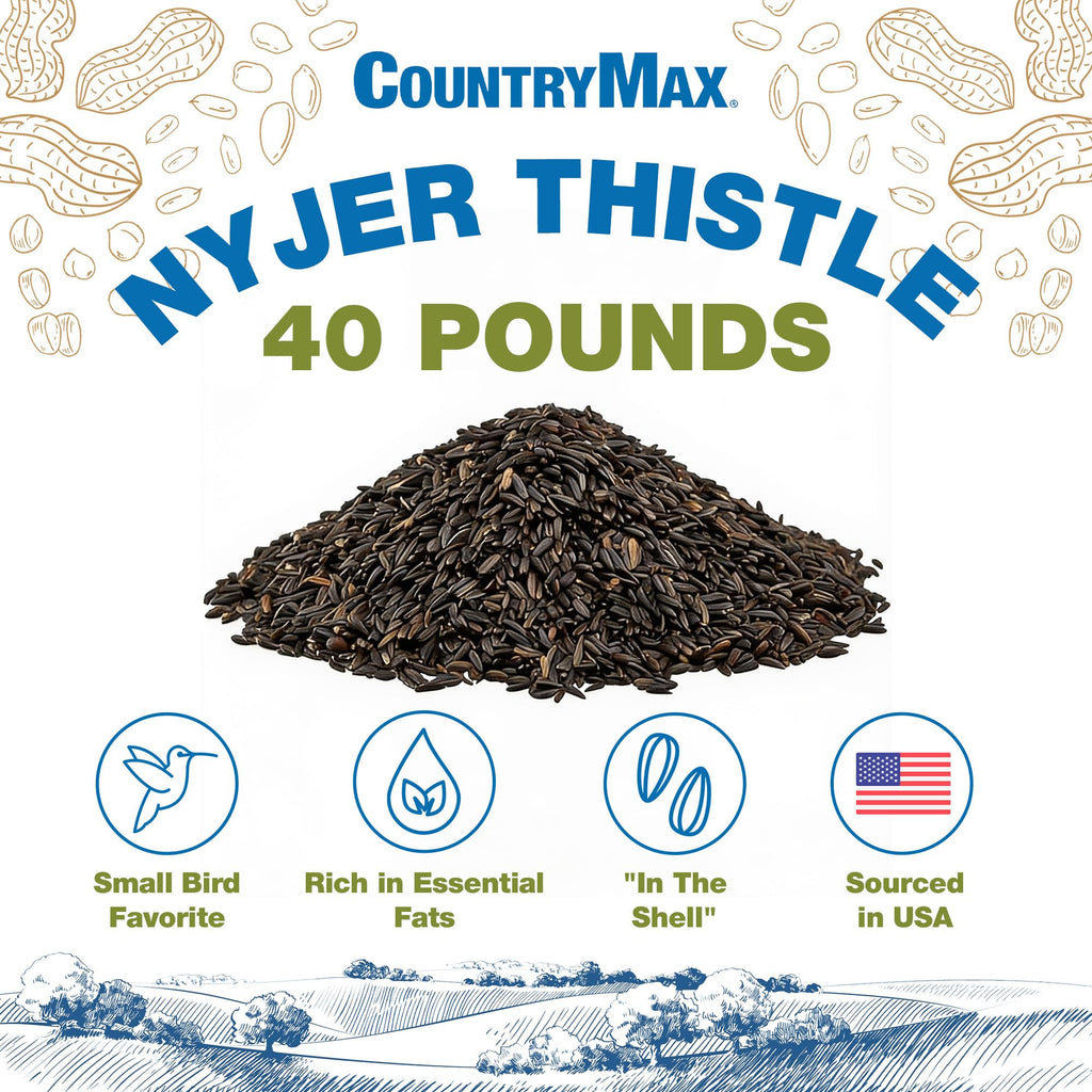 Thistle Wild Bird Seed O40080